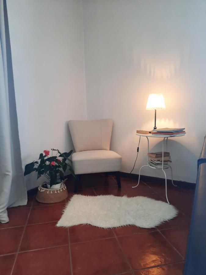 Casa Das Camelias Aveiro Ngoại thất bức ảnh