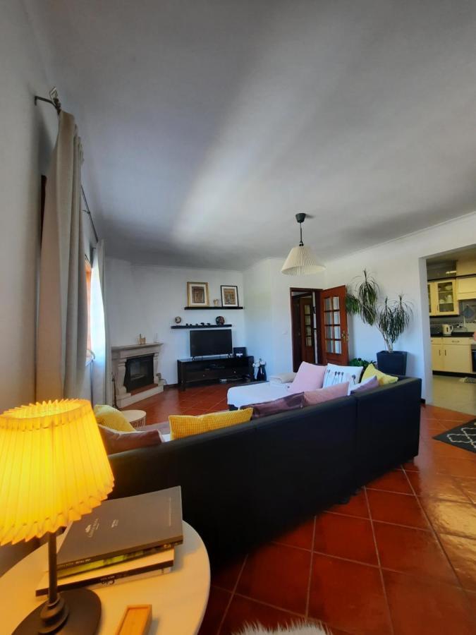 Casa Das Camelias Aveiro Ngoại thất bức ảnh