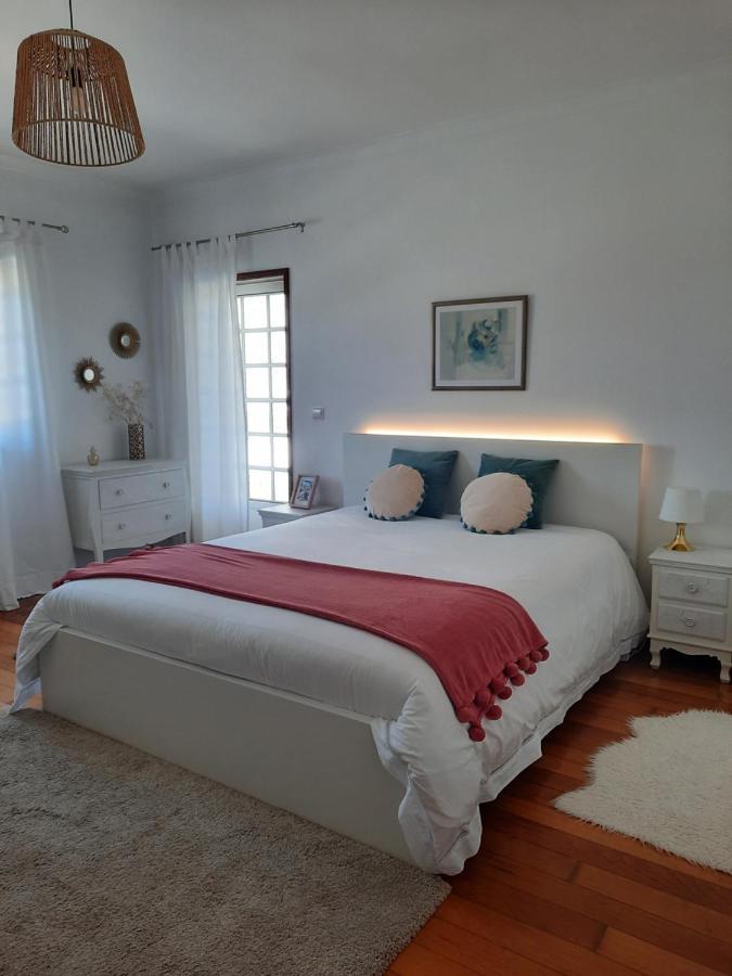 Casa Das Camelias Aveiro Ngoại thất bức ảnh