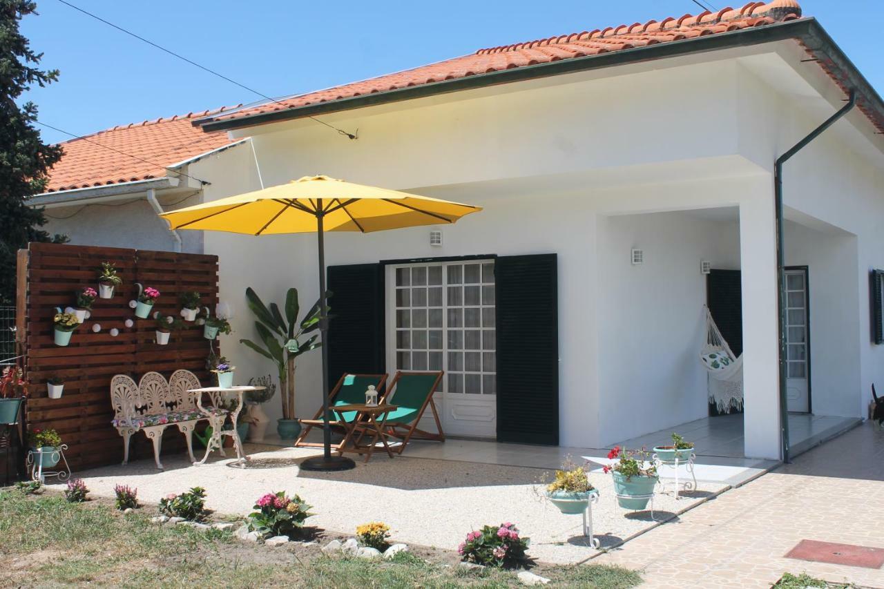 Casa Das Camelias Aveiro Ngoại thất bức ảnh